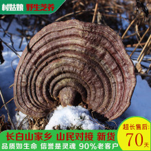 野生无柄赤芝250g整枝可切灵芝片赤灵芝木灵芝特大巨大长白山直发