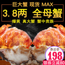 大闸蟹鲜活特大螃蟹全母蟹3.8两礼盒装 6只现货 阳澄湖镇海鲜水产