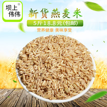 新燕麦米2018生裸燕麦仁农家自产内蒙古金全胚芽五谷杂粮散装 5斤