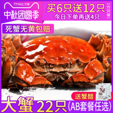 阳澄湖大闸蟹六月黄大闸蟹鲜活螃蟹鲜活 大闸蟹特大礼盒装蟹螃蟹