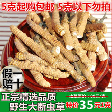 5克 正品 包邮 头期断虫草 正宗虫草非高海拔西藏那曲青海冬虫夏草