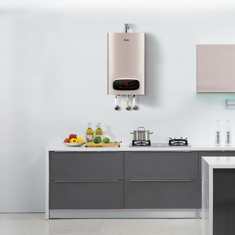 ����ȼ����ˮ��JSQ31-16WD6(12T)