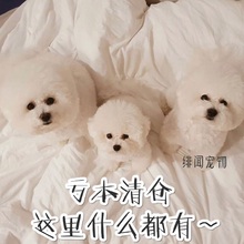 玩具 用品等等啥都有 不计成本全部亏 清仓产品链接汇总之二十二