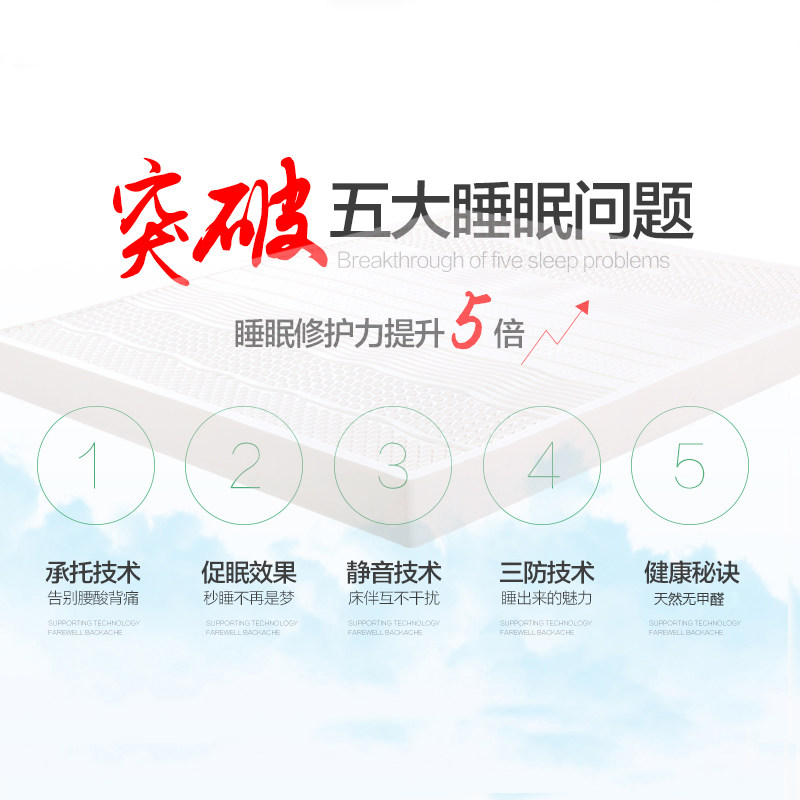 ��֮��̩���������齺����