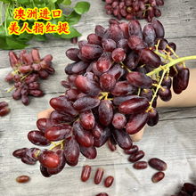 澳洲美人指红提2斤手指提子新鲜无籽红提进口葡萄水果发顺丰空运