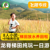 飞猪专线桂林旅游龙脊梯田门票金坑大寨平安寨精品纯玩跟团一日游