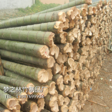 栅栏围栏护栏细竹杆庭院装 饰毛竹竿 菜园竹竿搭架粗竹竿大菜架竹