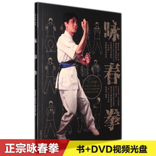 咏春拳基础入门教学视频教程自学全套木人桩教材谱书DVD光盘碟片