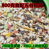 2份送零食罐 仓鼠粮仓鼠五谷盛宴800g 包邮 仓鼠粮食