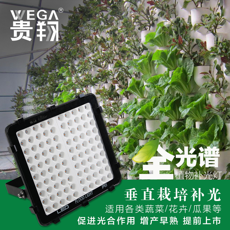 全光谱蔬菜大棚麻多肉植物工厂投光泛光补光灯LED植物生长灯贵翔