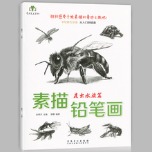 初学者零基础技法书艺术绘画教程教材安徽美术 画蚂蚁蜜蜂金鱼等画法 素描铅笔画 手绘新生必备从入门到精通 昆虫水族篇 正版现货