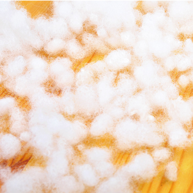 ˫��̫������ͷPP01