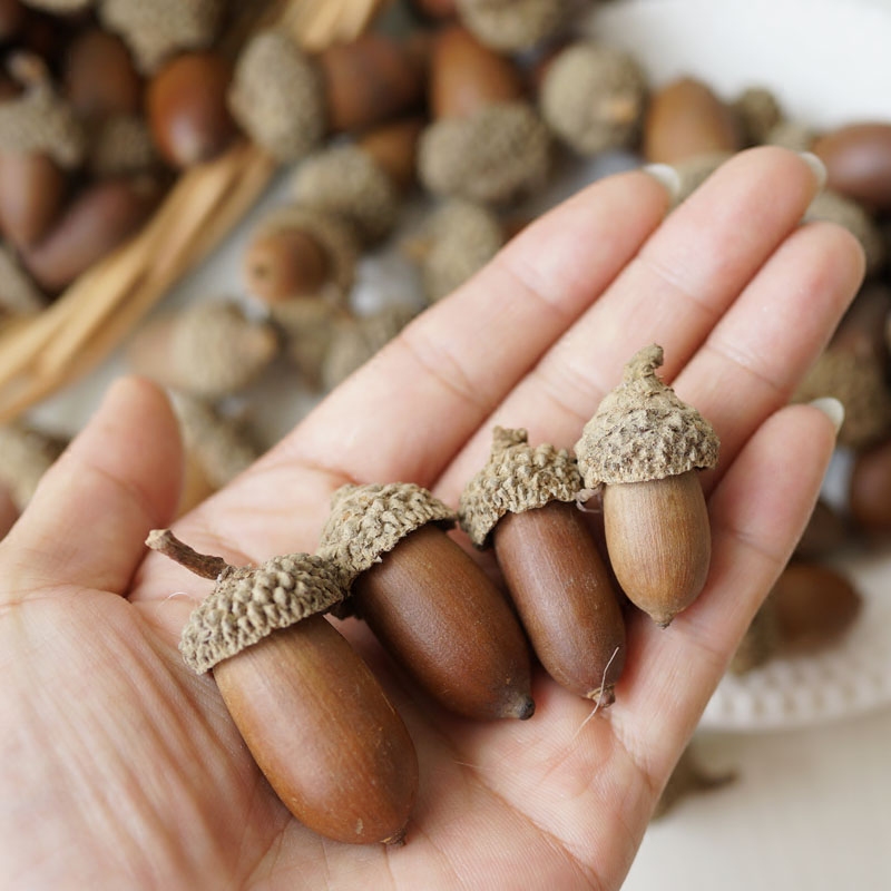 lmdecˮ������15sg15