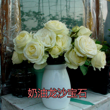 奶油龙沙宝石四季开花带花发货 奶油伊甸园 法国切花丰花月季花苗