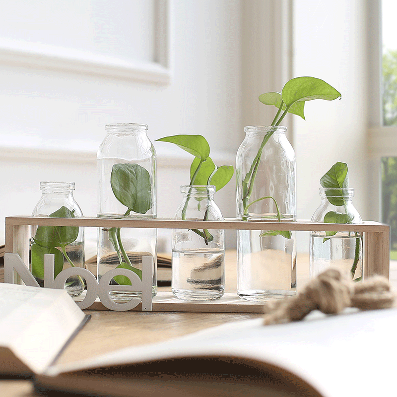 ���ӼҾ�͸������С��ƿ TLP010001