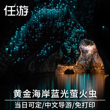 澳洲旅游黄金海岸蓝光萤火虫春之溪自然桥莱明顿天宝林中文一日游