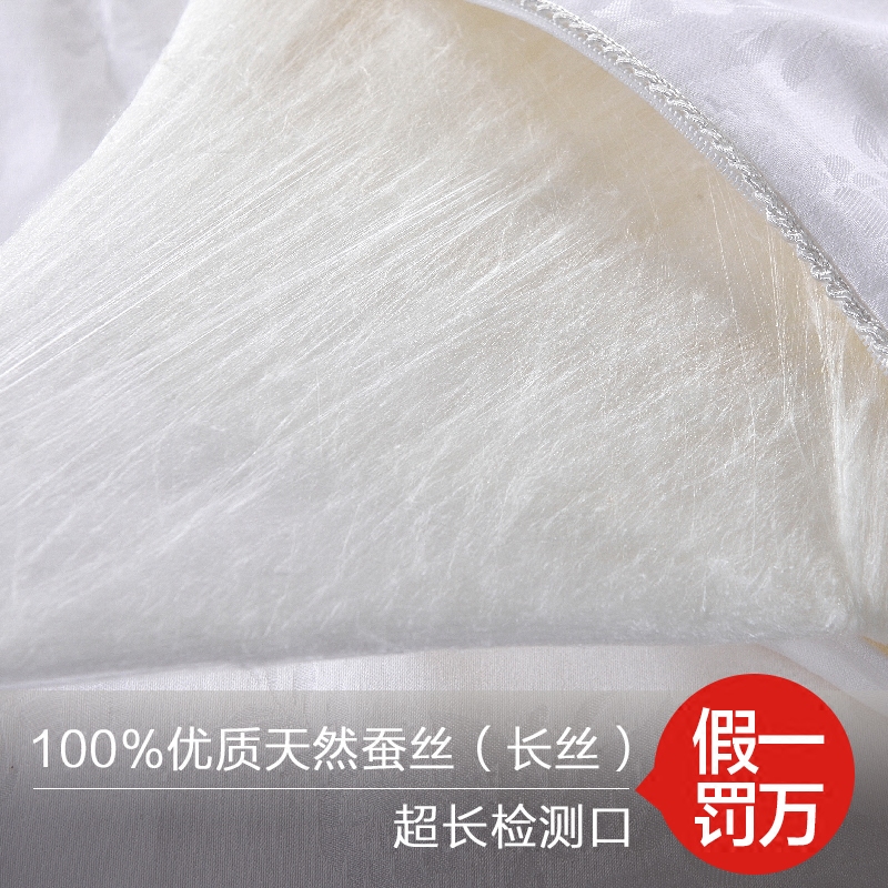 ˿��ѩ���ֹ���˿��XTH456