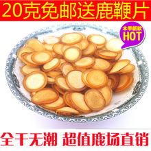 克正宗鹿茸 半蜡片鹿茸片血茸腊片6元 鹿茸蜡片 梅花鹿鹿茸整枝