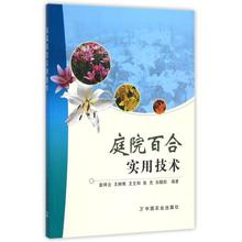 王文和 正版书籍 生活时尚 王树栋 编者 刘朝阳 赵祥云 张克 庭院百合实用技术