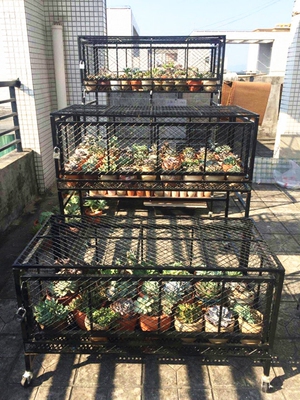 阳台植物架户外新款推荐