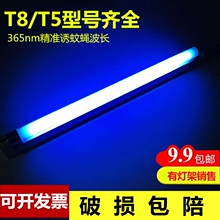 6w8瓦T8 10w15w20w诱蝇灯紫光 灯管灭蚊灯灭蝇灯捕蚊器专用灯管T5