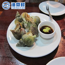 500g 营养丰富 刺身料理 冷冻生鲜 加拿大翡翠螺
