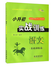 小学毕业总复习小升初实战训练 语文基础训练篇小升初知识大集结总复习资料小学升初中教程工具书 正版现货