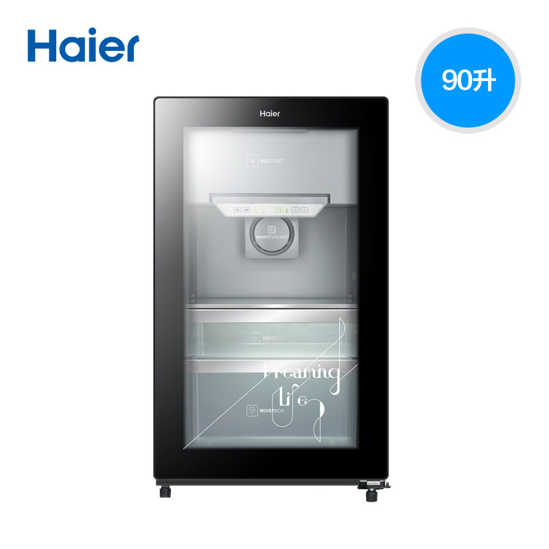 ��������DS090D