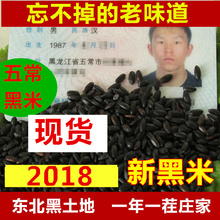 2018年新黑米年现磨现卖东北黑龙江五常特产黑大米500克