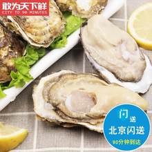 北京闪送湛江生蚝鲜活纯净烧烤食材刺身牡蛎新鲜水产海鲜 5元
