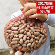 新鲜山药豆农家正宗铁棍山药豆天然营养滋补淮山药蛋山药豆2500克