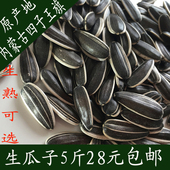 新货内蒙古特产四子王旗葵花籽向日葵原味熟大生瓜子5斤 包邮