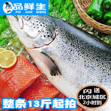 三文鱼整条新鲜 13斤起拍 包邮 每斤 智利冰冻三文鱼刺身生鱼片35元