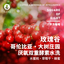 哥伦比亚玫瑰谷 蜜桃草莓风味爆炸 双厌氧酵素水洗手冲咖啡豆125g