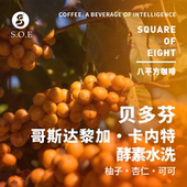 soecoffee 哥斯达黎加卡内特音乐家贝多芬酵素水洗处理咖啡豆125g