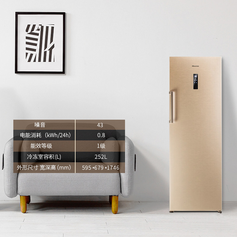 ���Ŵ��䶳���BD-252WT