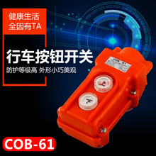 COB 起重按钮开关 上下 电动葫芦 C0B61防水行车控制开关