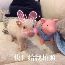 感谢每一位 私自拍下无效 18年新品 花嘟嘟KIDS