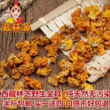 软糯 半斤 木耳脑耳黄耳雪域高原西藏林芝特产 包邮 干货 野生金耳