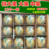 包邮 果王广西桂林永福特级特产低温冻干真空脱水黄金罗汉果茶大果
