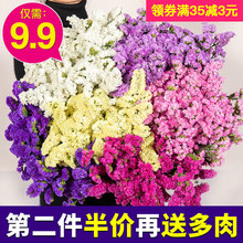 云南勿忘我真花干花花束家居摆设小清新客厅满天星插花论斤卖