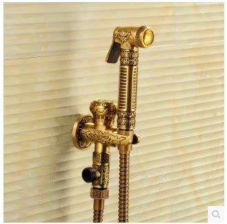 ���˽�ȫͭ�ƽ���ǹ