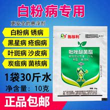 国产白粉病炭疽病黑星病叶斑病霜霉病早晚疫病高效专用剂