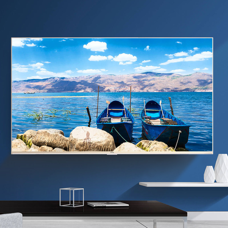 TCL Һ�����ܵ��ӻ�D43A810