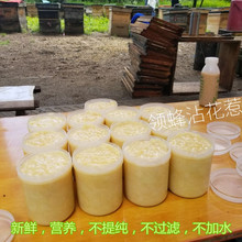产自东北黑蜂百花纯正天然蜂王浆新鲜活农家自产蜂皇浆蜂乳野生