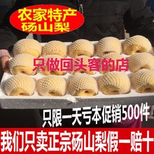 10斤现摘水果新鲜梨子香梨 雪梨 砀山梨 贡梨 安徽正宗砀山酥梨