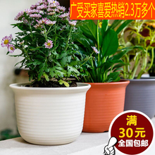爱丽丝多肉花盆 树脂胶塑料塑胶仿陶瓷清仓爱丽思朔料中等 特价 包邮