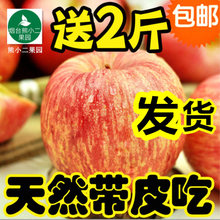 条纹烟台苹果山东栖霞红富士苹果10斤包邮新鲜水果孕妇吃的萍平果