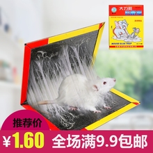 粘老鼠胶yao贴颗粒灭鼠抓粘鼠板强力正品 家用药克星捕鼠器神器灵