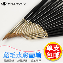 610 描线笔 华虹西伯利亚貂毛笔刷 水彩笔套装 勾线笔 HwaHong